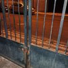 dia 18 de Outubro de 2025 1.15